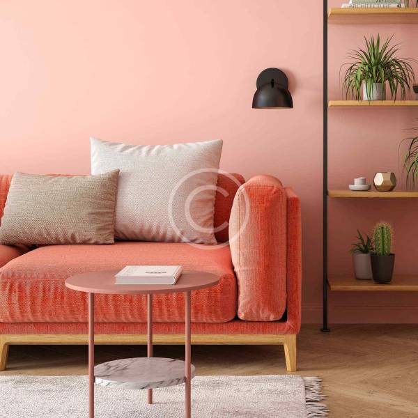Ruddy pink